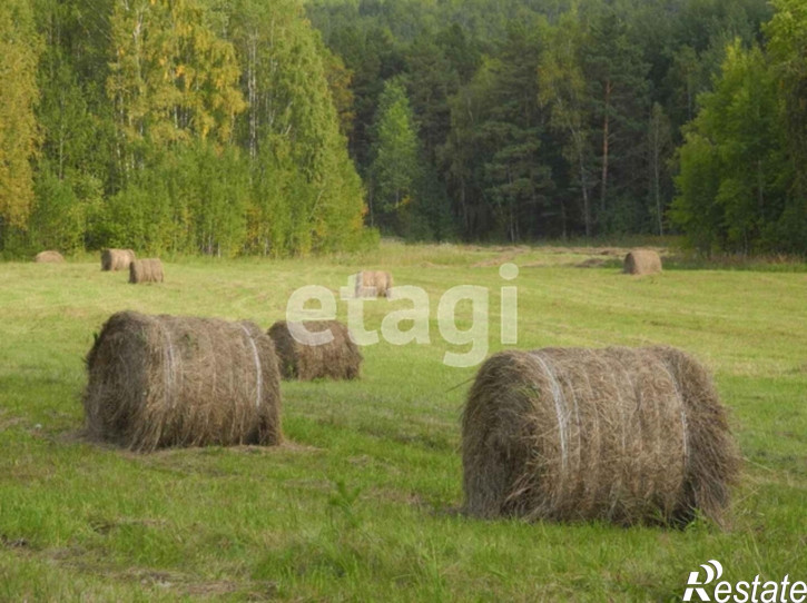 Земельный участок
