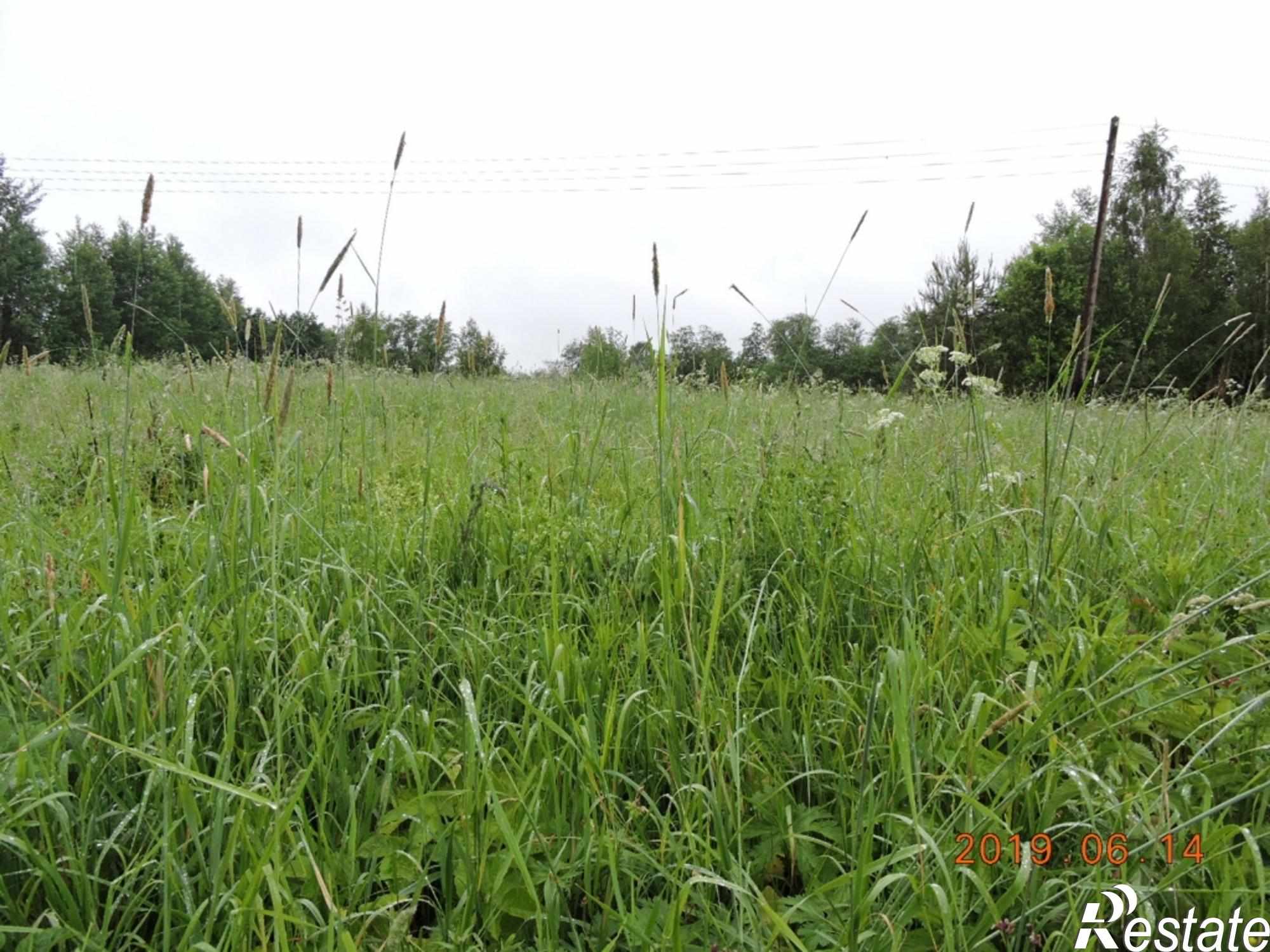 Купить дачу, дом, коттедж за 800 000 рублей на Овинищи (Никольские) д