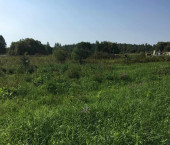 земля 60 сот Рыжиково д