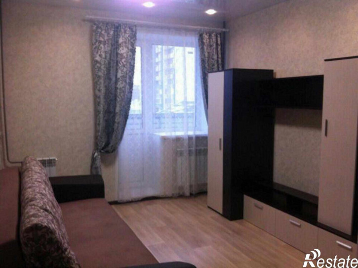 1-комн квартира Северная ул, 55