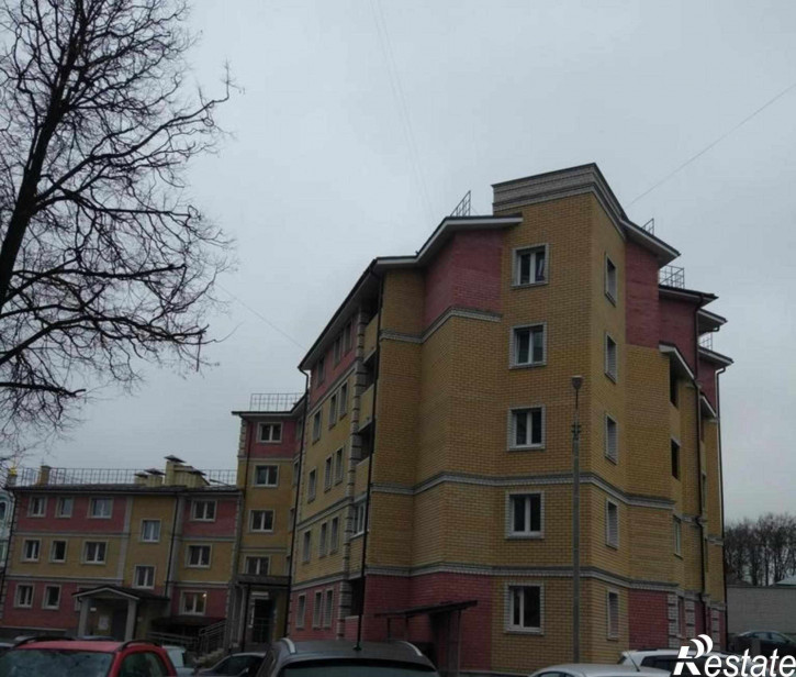 1-комн квартира Малые Ременники ул, 9