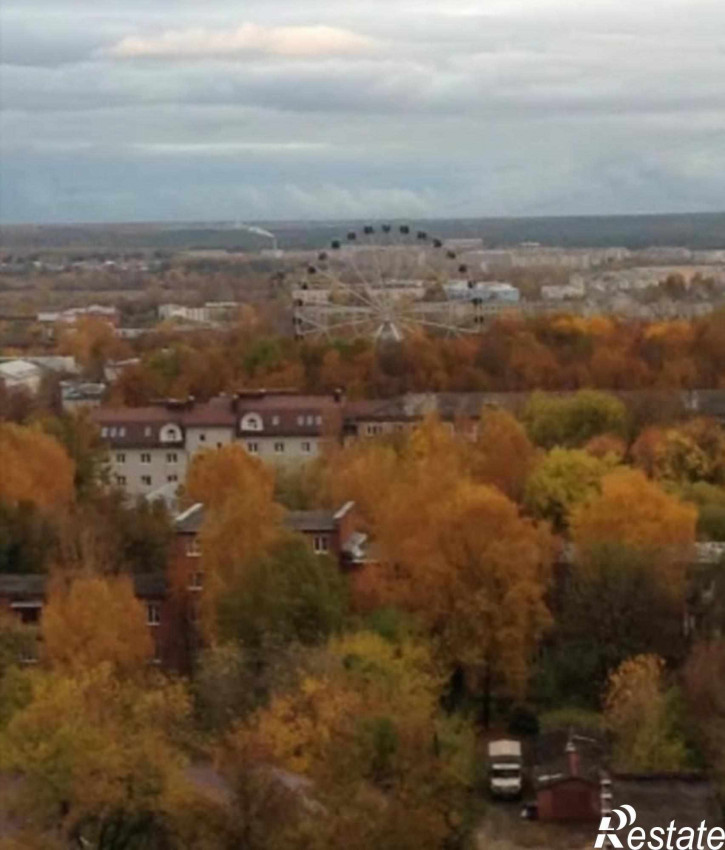 1-комн квартира Северная ул, 55