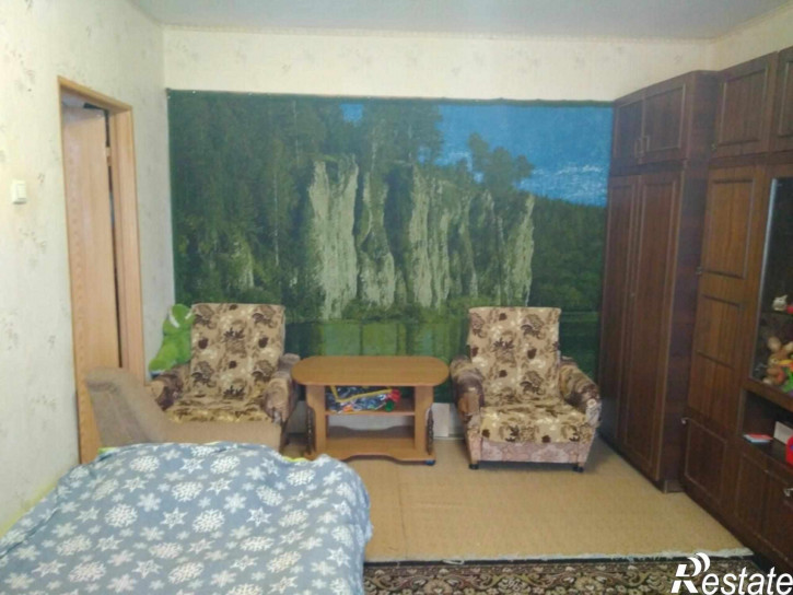 1-комн квартира Василисина ул, 17