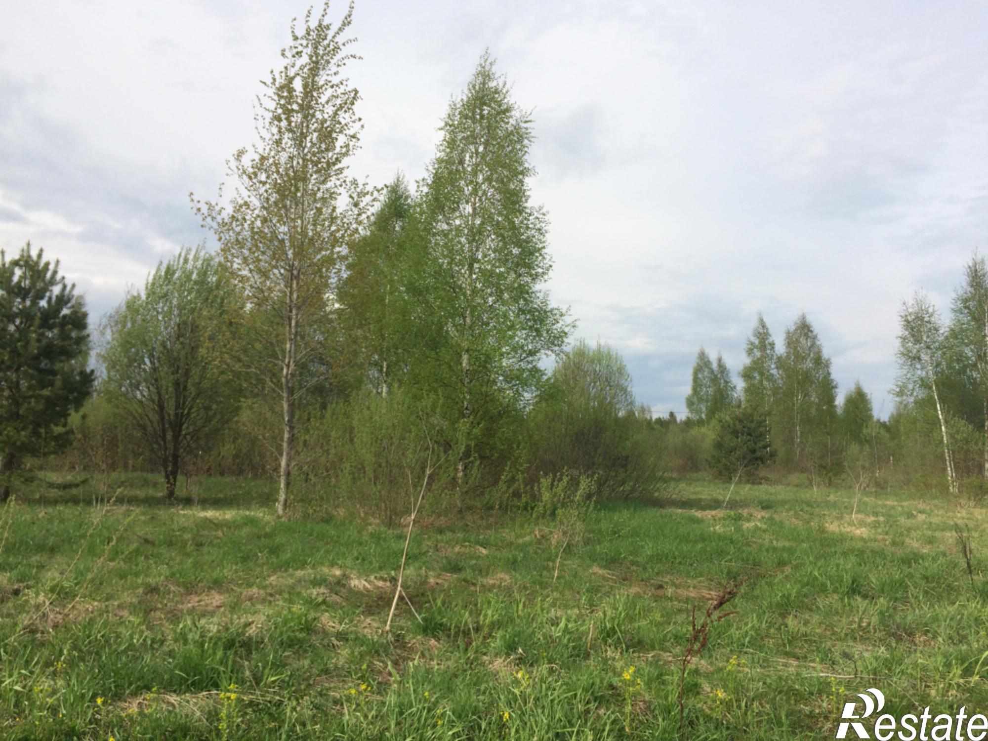 Купить землю, земельный участок за 100 000 рублей на Лисавы д
