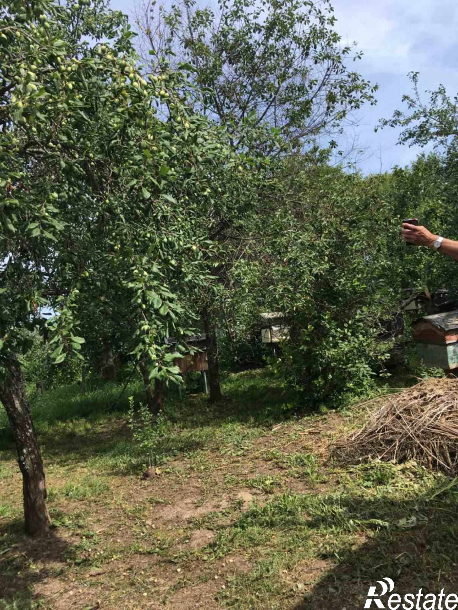 Купить дачу, дом, коттедж за 4 500 000 рублей на Садовая ул