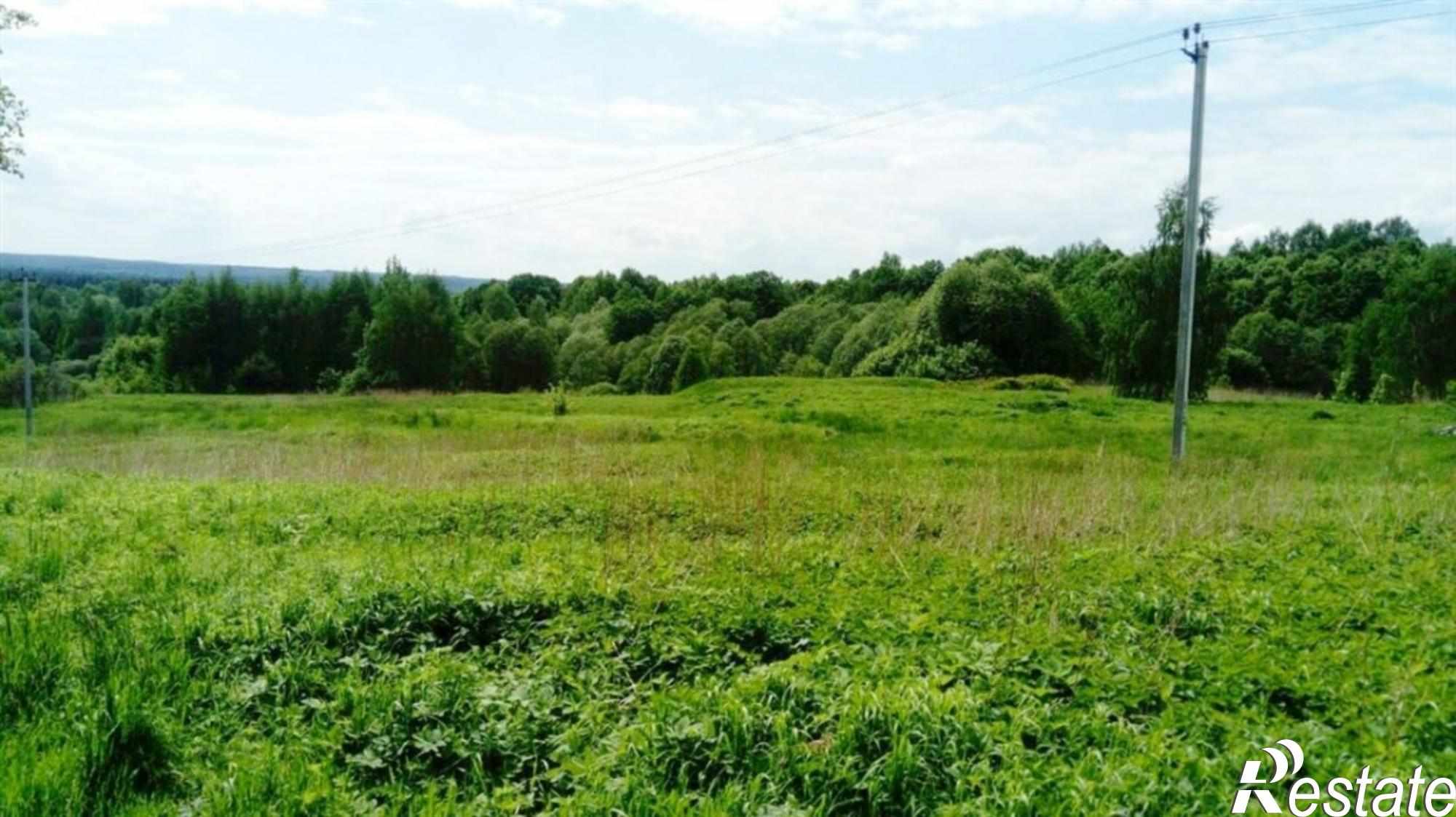 Купить землю, земельный участок за 500 000 рублей на Романка д