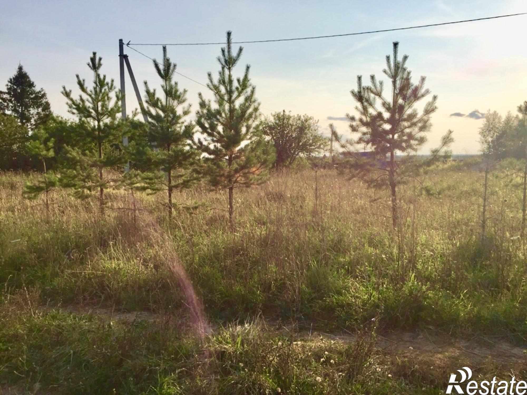 Купить землю, земельный участок за 300 000 рублей на Ефимьево с