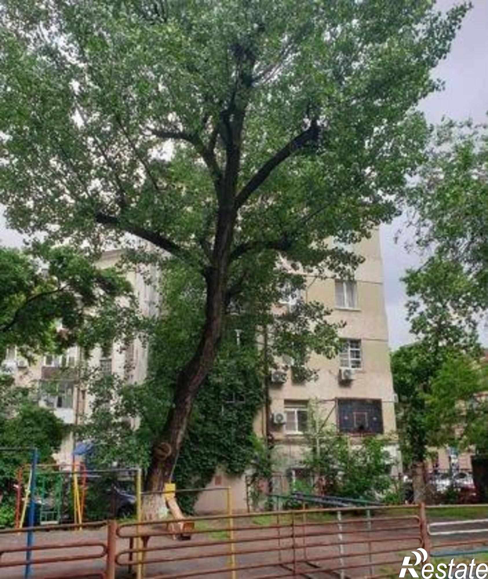 Купить квартиру за 6 390 000 рублей на Соборный переулок, 45