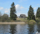 земля 30 сот Центральная ул., 17