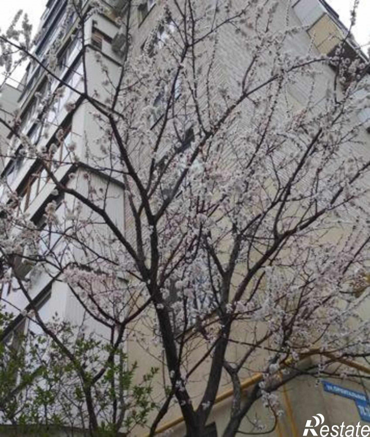 2-комн квартира Орбитальная улица, 78/2