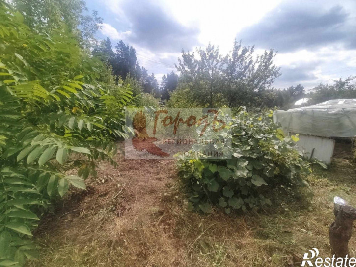 Коттедж/дом Звезда