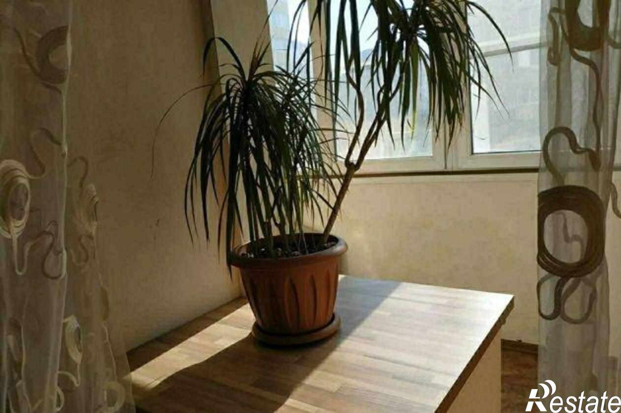 Купить квартиру за 4 700 000 рублей на проспект Горшкова, 2А