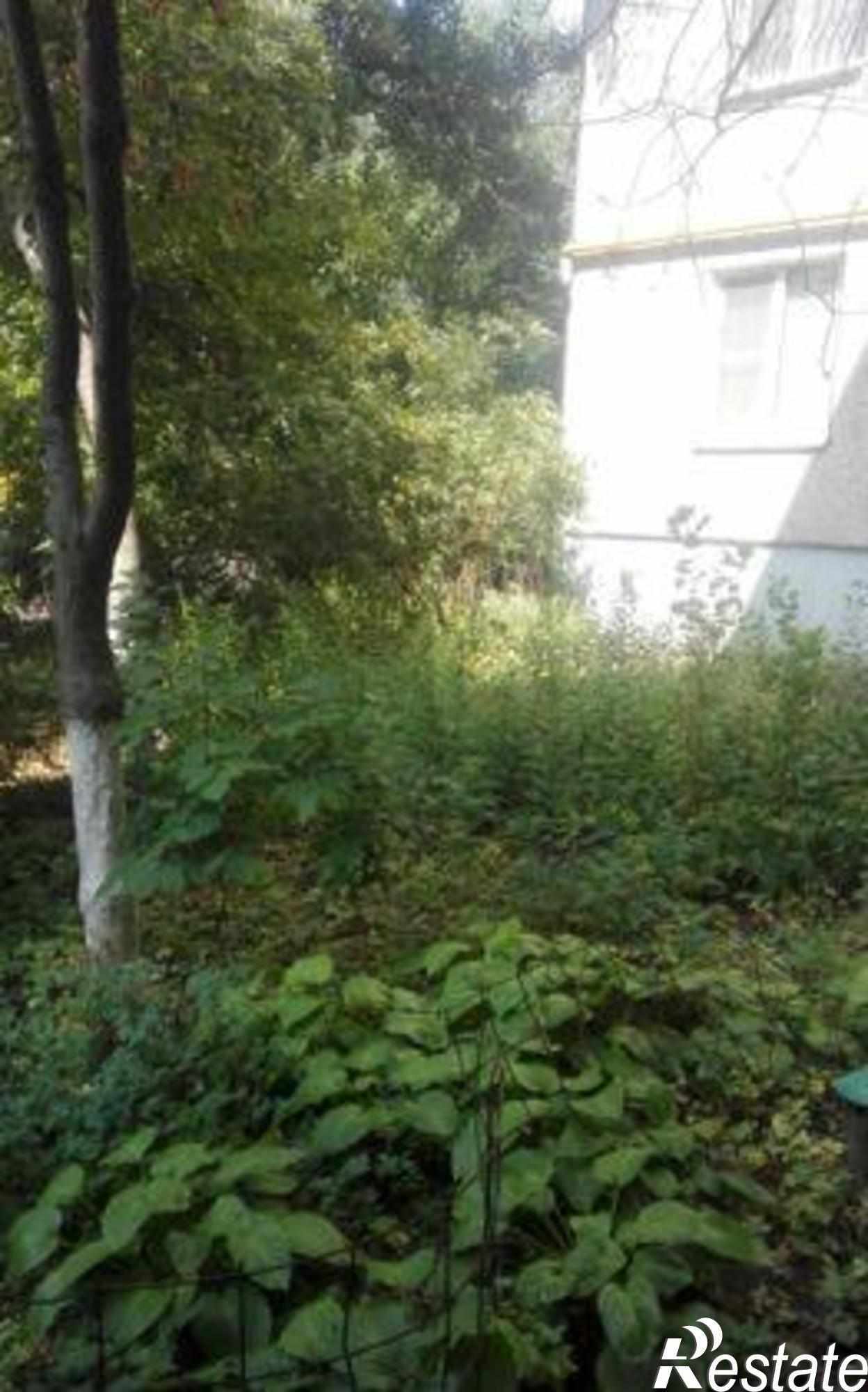 Купить квартиру за 2 350 000 рублей на Каширская улица, 10/1