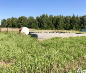 земля 10 сот Веськово с