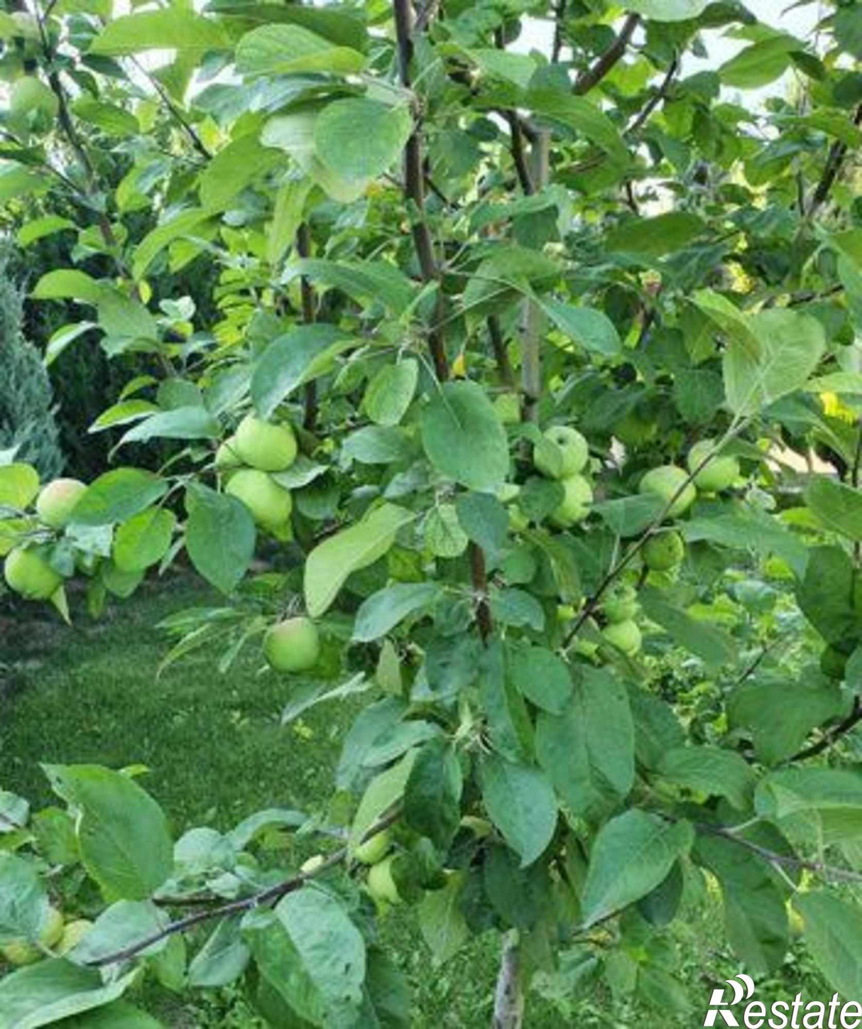 Купить дачу, дом, коттедж за 10 400 000 рублей на 6-я Канатная улица, 4