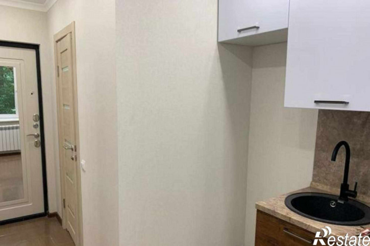 1-комн квартира улица Ерёменко, 87к1