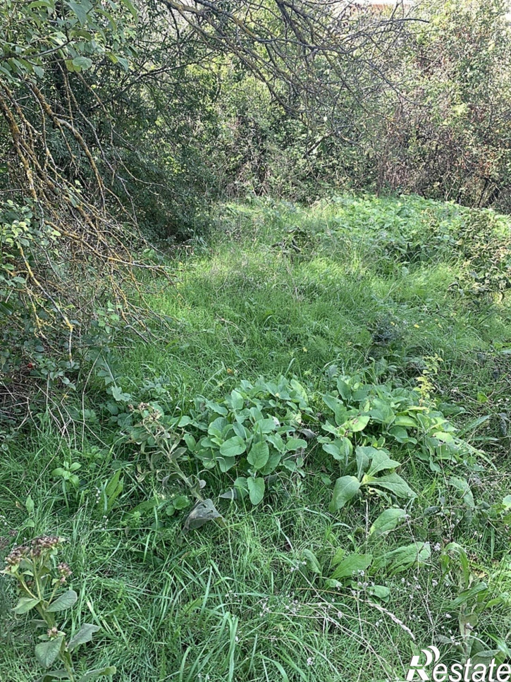 Земельный участок село Варваровка