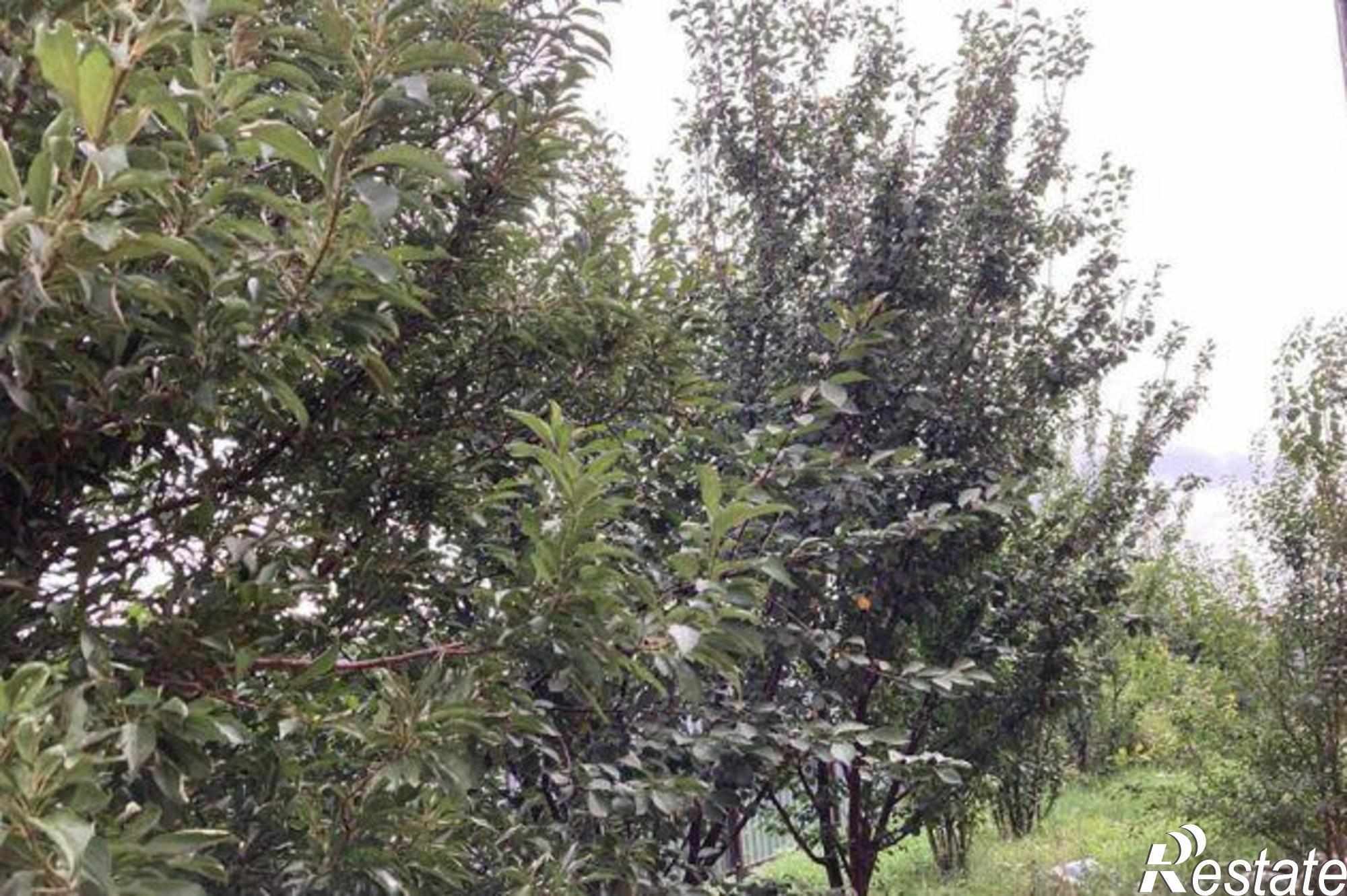 Купить дачу, дом, коттедж за 8 360 000 рублей на Таможенная улица, 20