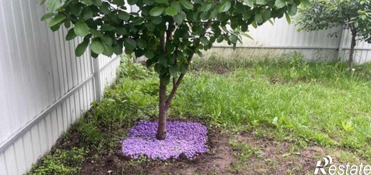 Коттедж/дом улица 16-я Линия, 13А