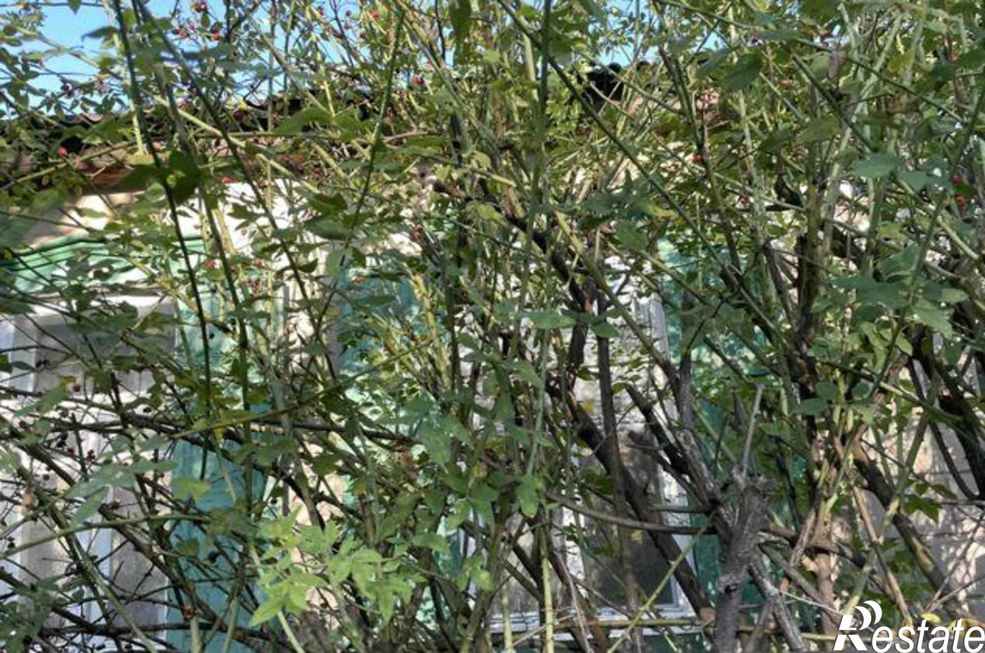 Купить дачу, дом, коттедж за 1 430 000 рублей на улица Мартовицкого, 10