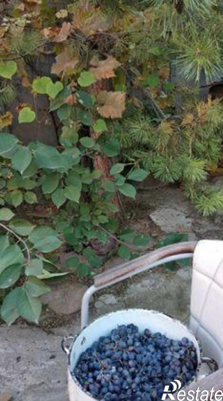 Коттедж/дом улица Куприна, 232