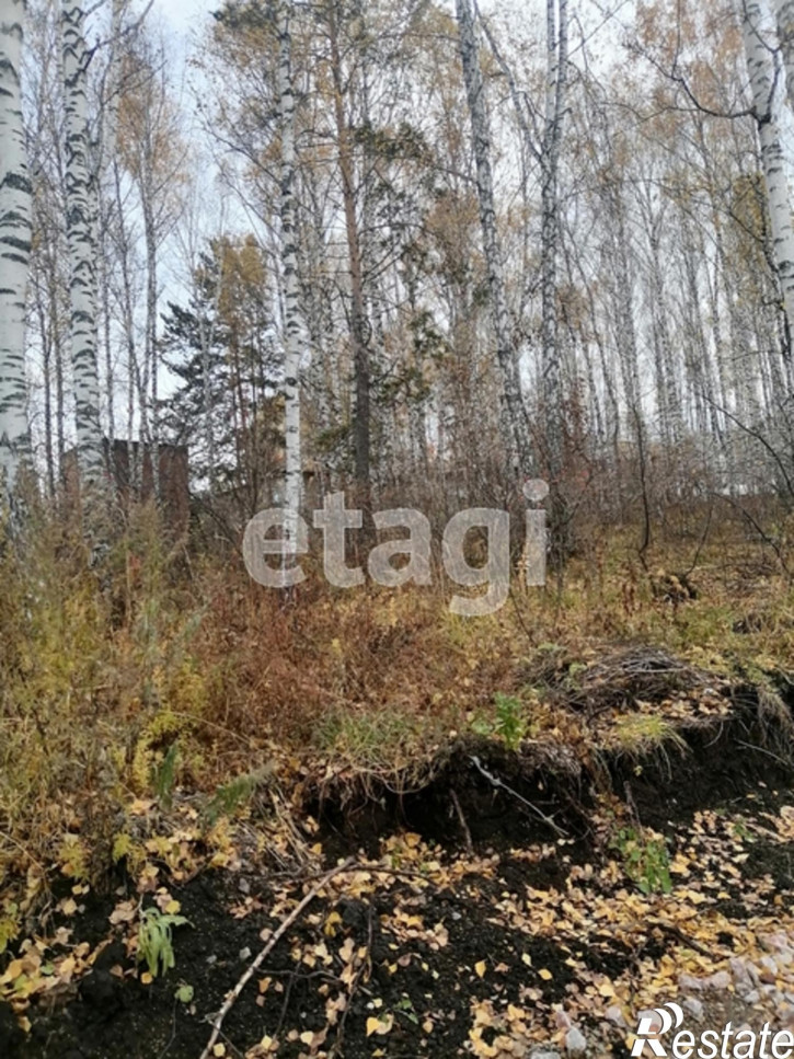 Земельный участок Лесная улица
