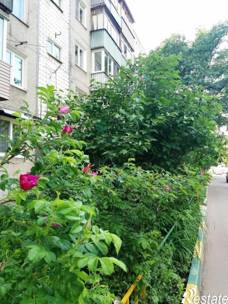 2-комн квартира Дружбы ул., 19, к 1