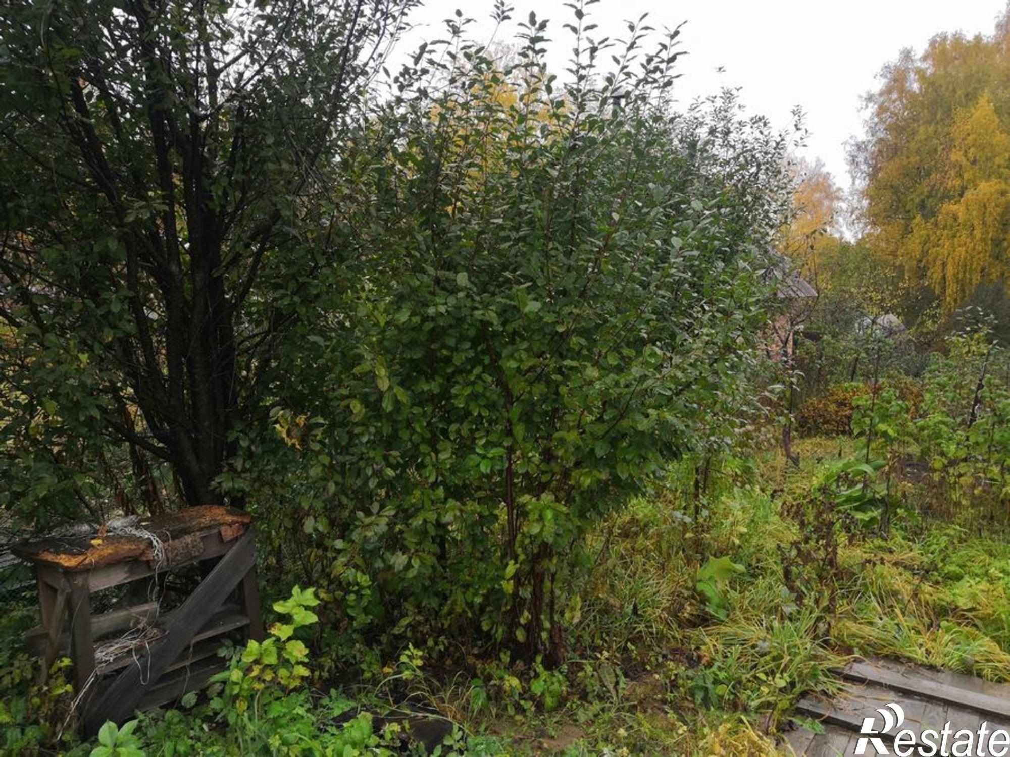 Купить землю, земельный участок за 340 000 рублей на снт Восток