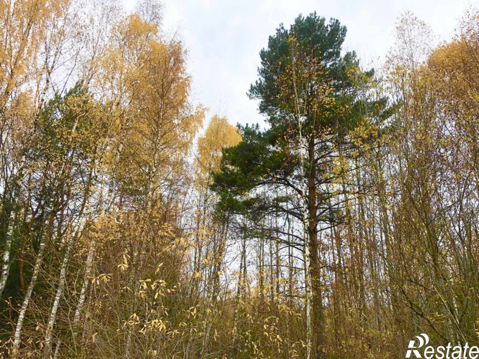 Купить землю, земельный участок за 250 000 рублей на Соломидино с
