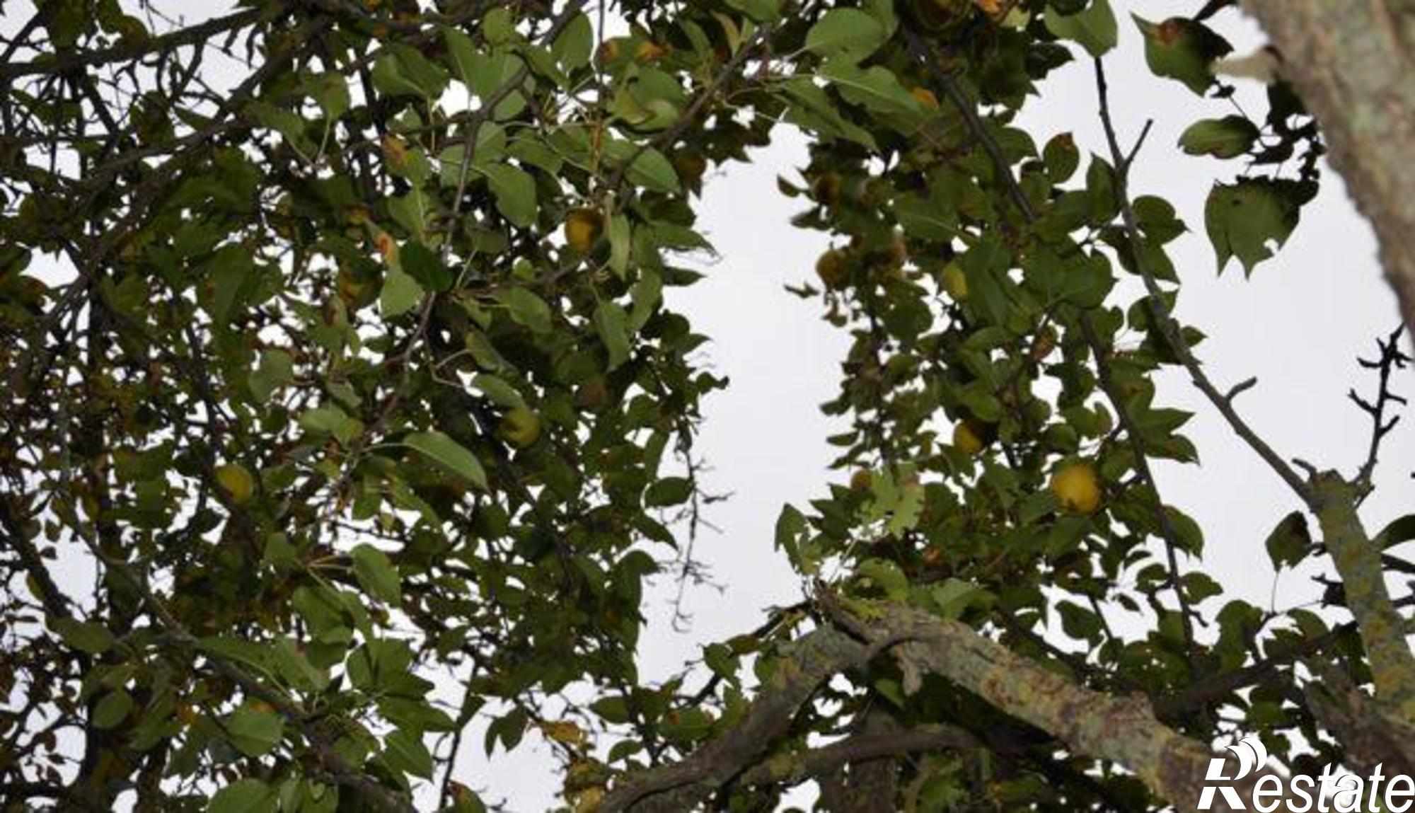 Купить дачу, дом, коттедж за 4 560 000 рублей на Калинина, 2