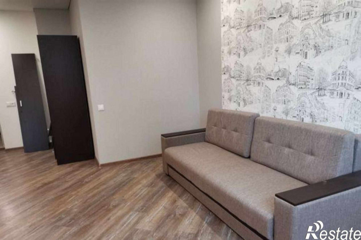 1-комн квартира улица Шаповалова, 1Гс1