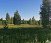 земля 1800 сот Полянское