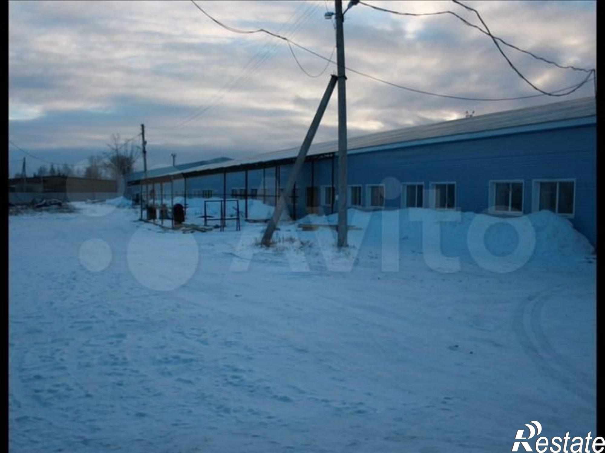 Сдать производственную площадь за 55 000 рублей на ул Правды, 86