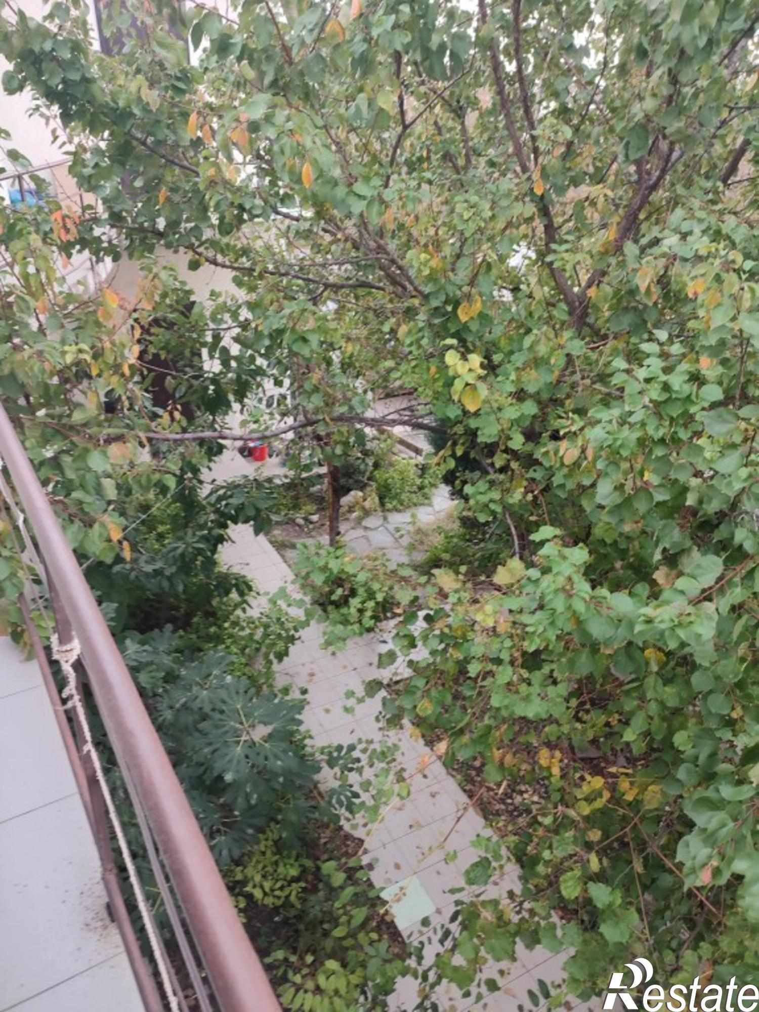 Купить дачу, дом, коттедж за 17 000 000 рублей на Блока