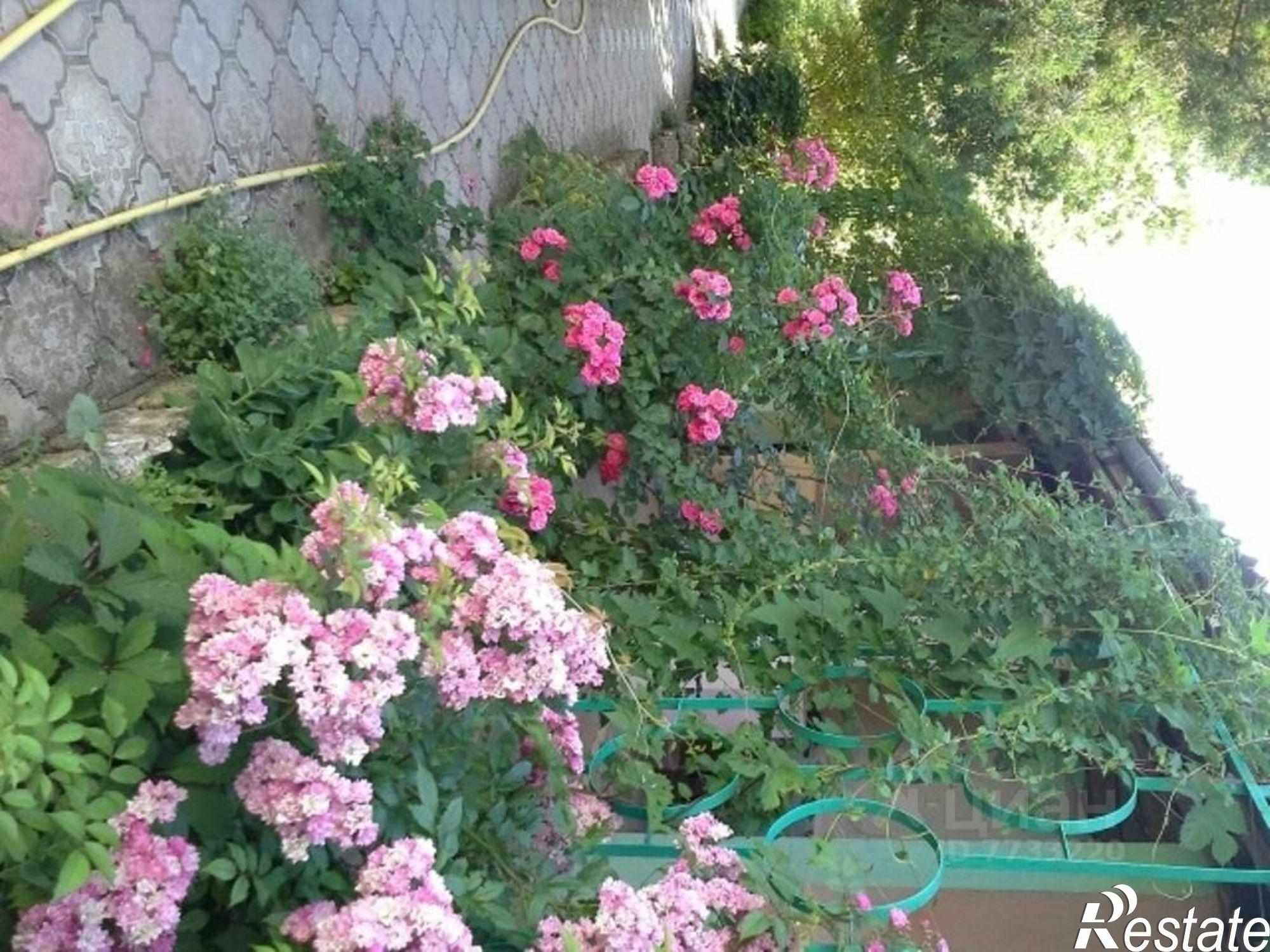 Купить дачу, дом, коттедж за 16 000 000 рублей на Новая улица