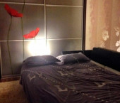 комната 46 кв м Антонова-Овсеенко улица, 3