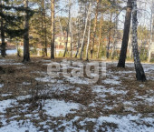 земля 15 сот 