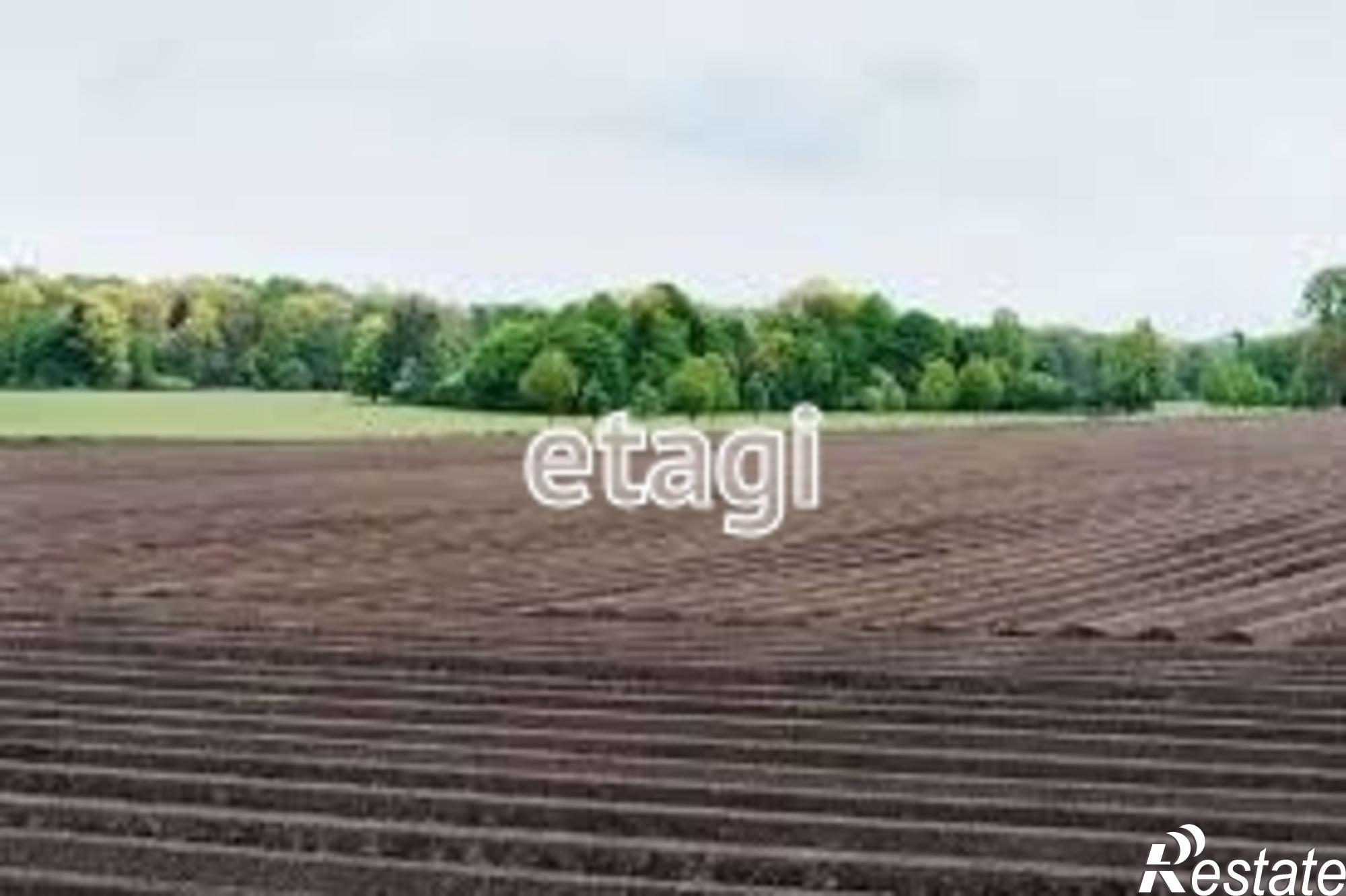 Купить землю, земельный участок за 250 000 рублей на Array