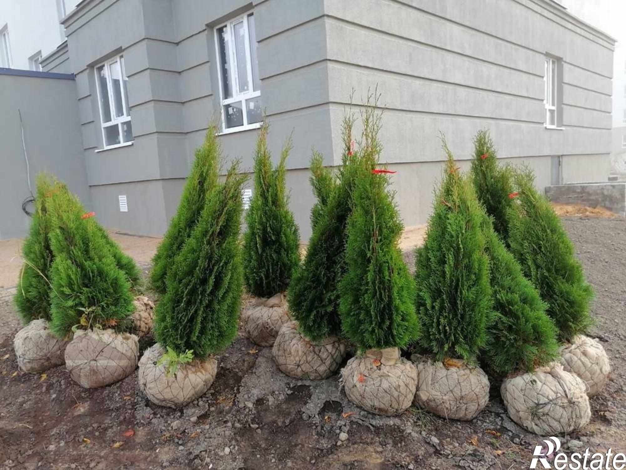 Купить квартиру за 3 721 720 рублей на Медовая ул, 9