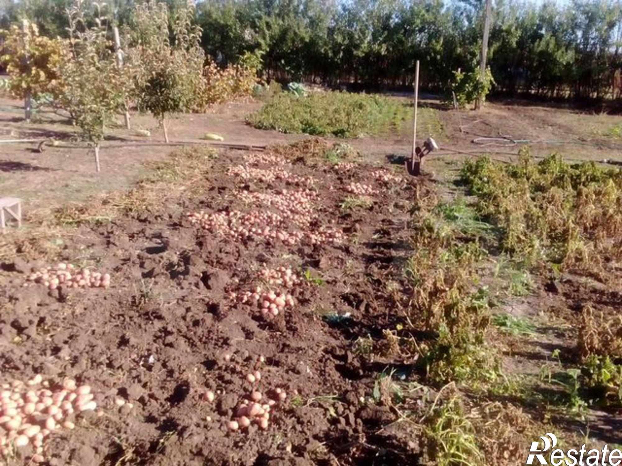 Купить дачу, дом, коттедж за 1 850 000 рублей на улица Ленина