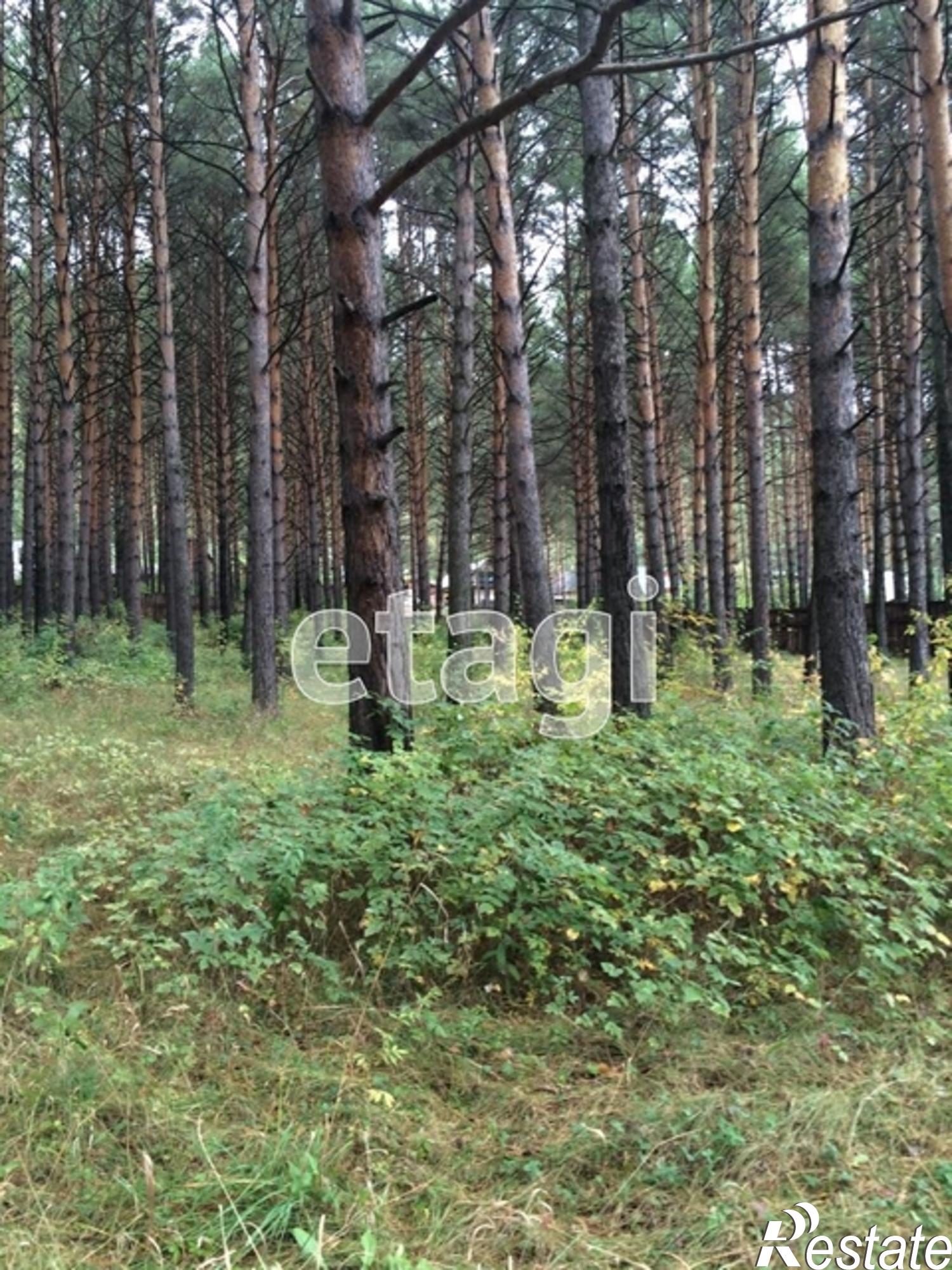 Купить землю, земельный участок за 8 000 000 рублей на Array