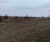 земля 158.86 сот Красный Яр село