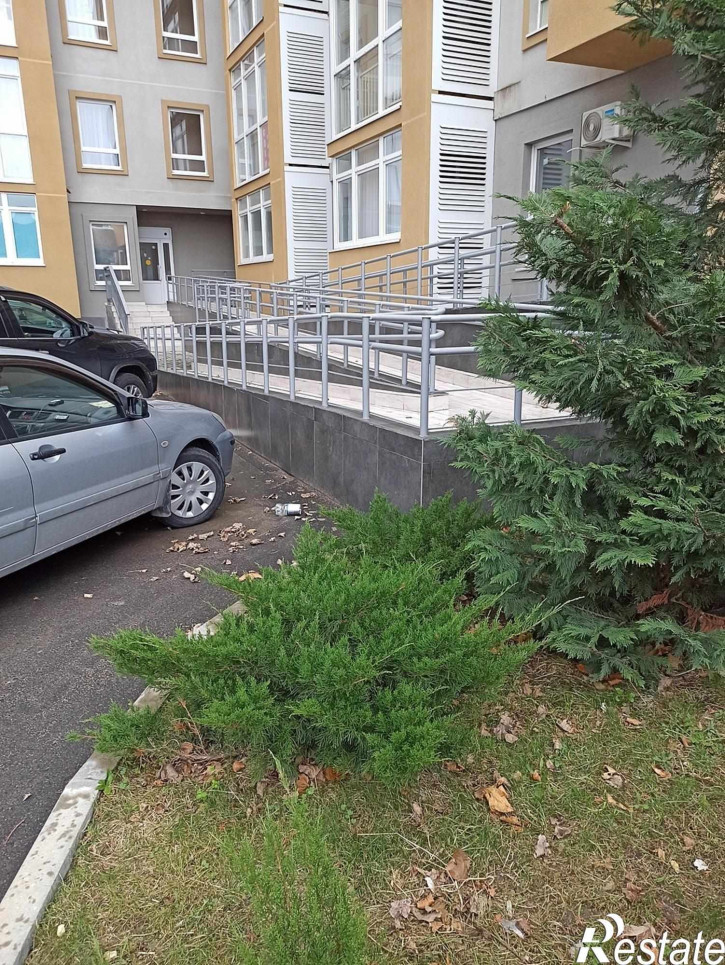Студия Пионерский проспект, 57к3