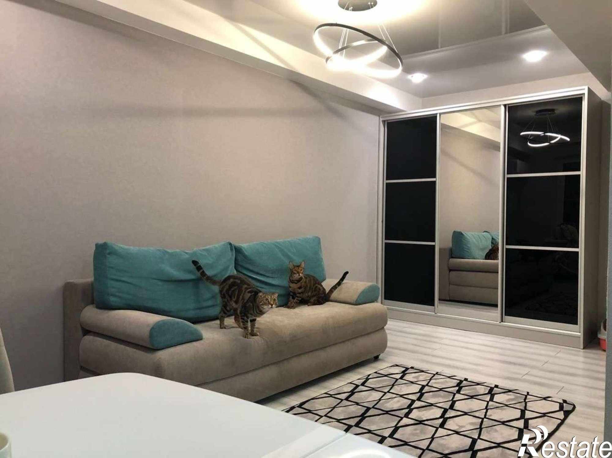 Сдать квартиру за 20 000 рублей на Дыбенко улица, 157