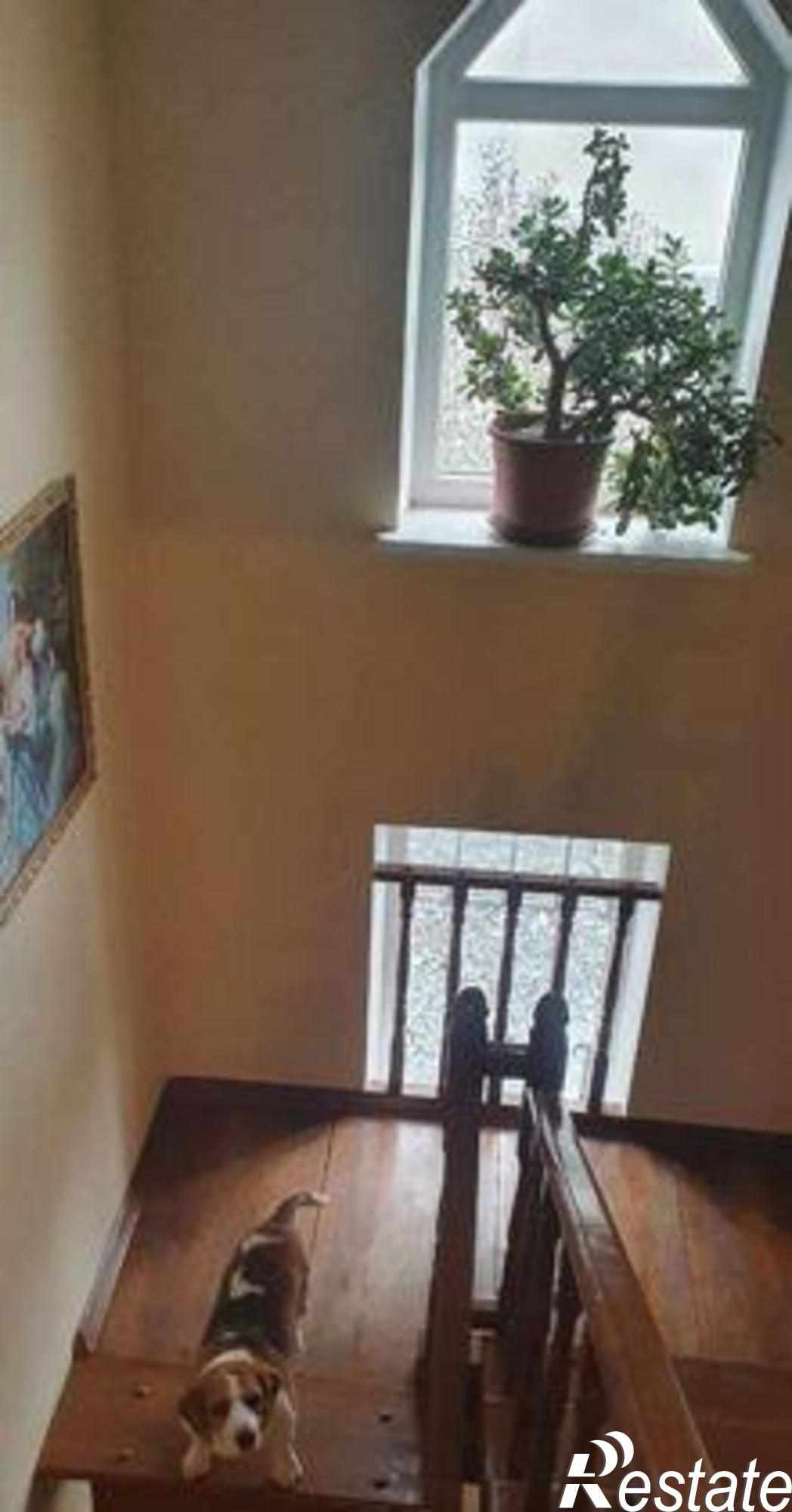 Купить дачу, дом, коттедж за 38 000 000 рублей на 2-я улица Володарского, 199