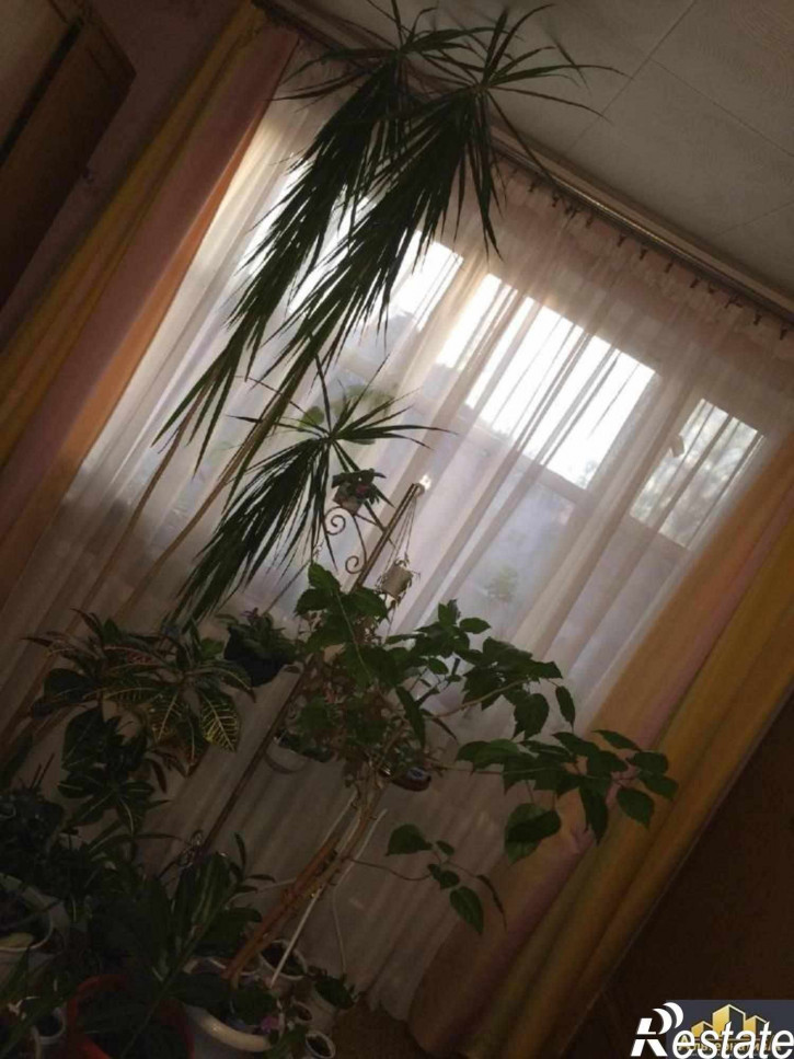 Коттедж/дом Седлогорский пер.