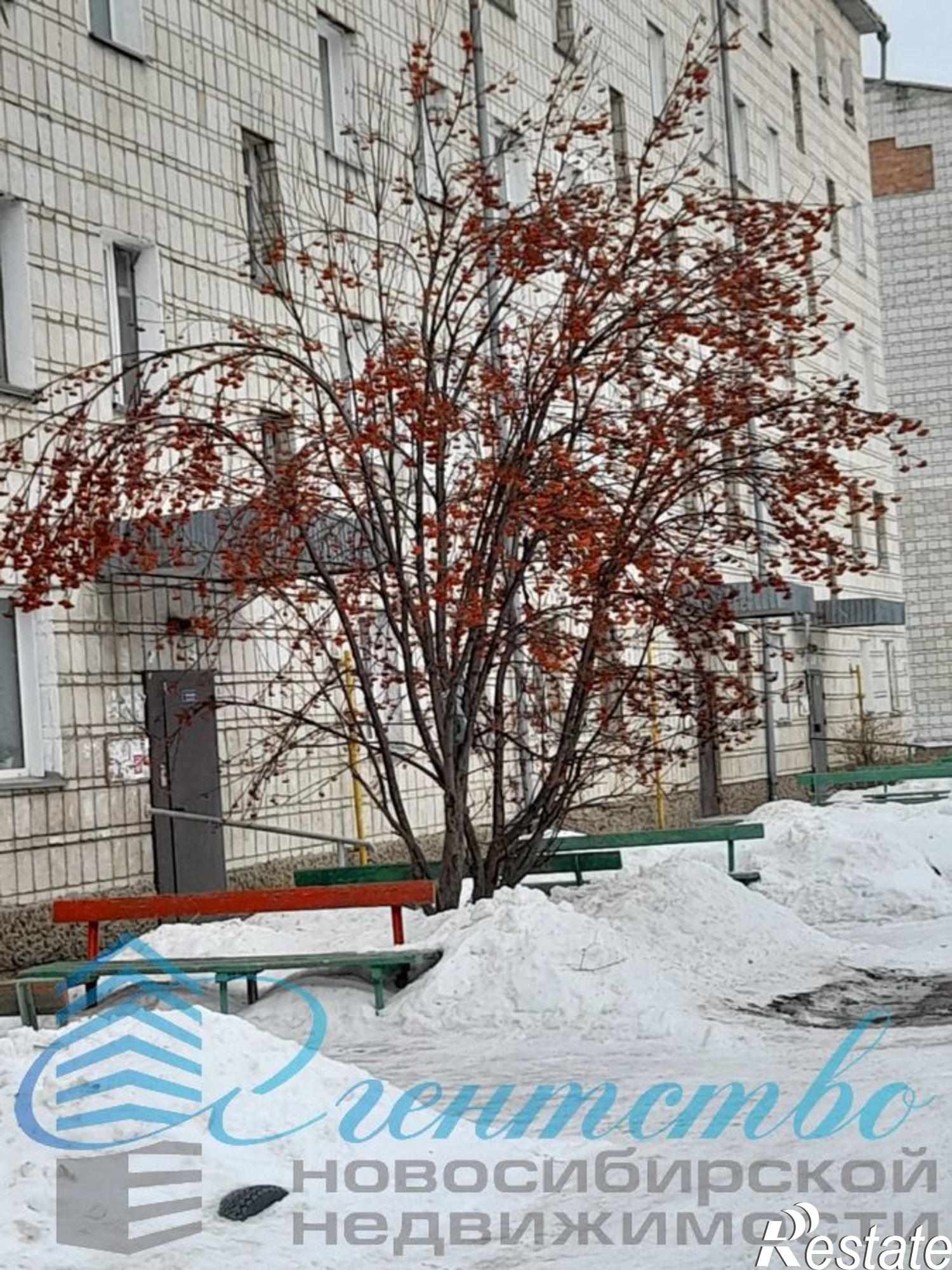 Купить квартиру за 2 600 000 рублей на Красный яр,29