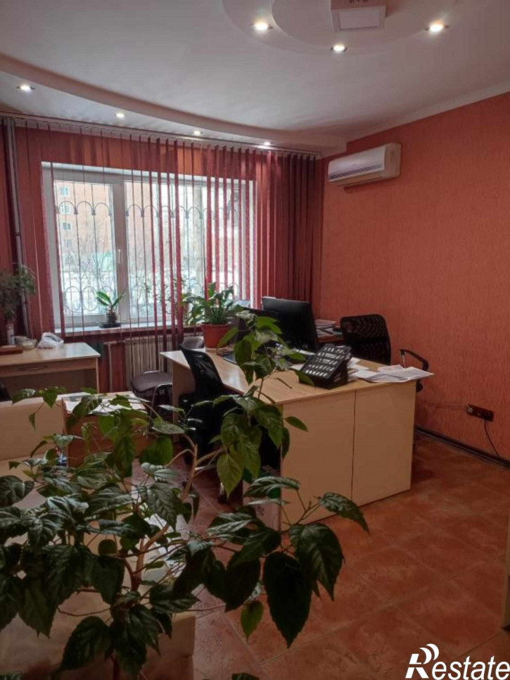 Офис Дмитриева, 5/4