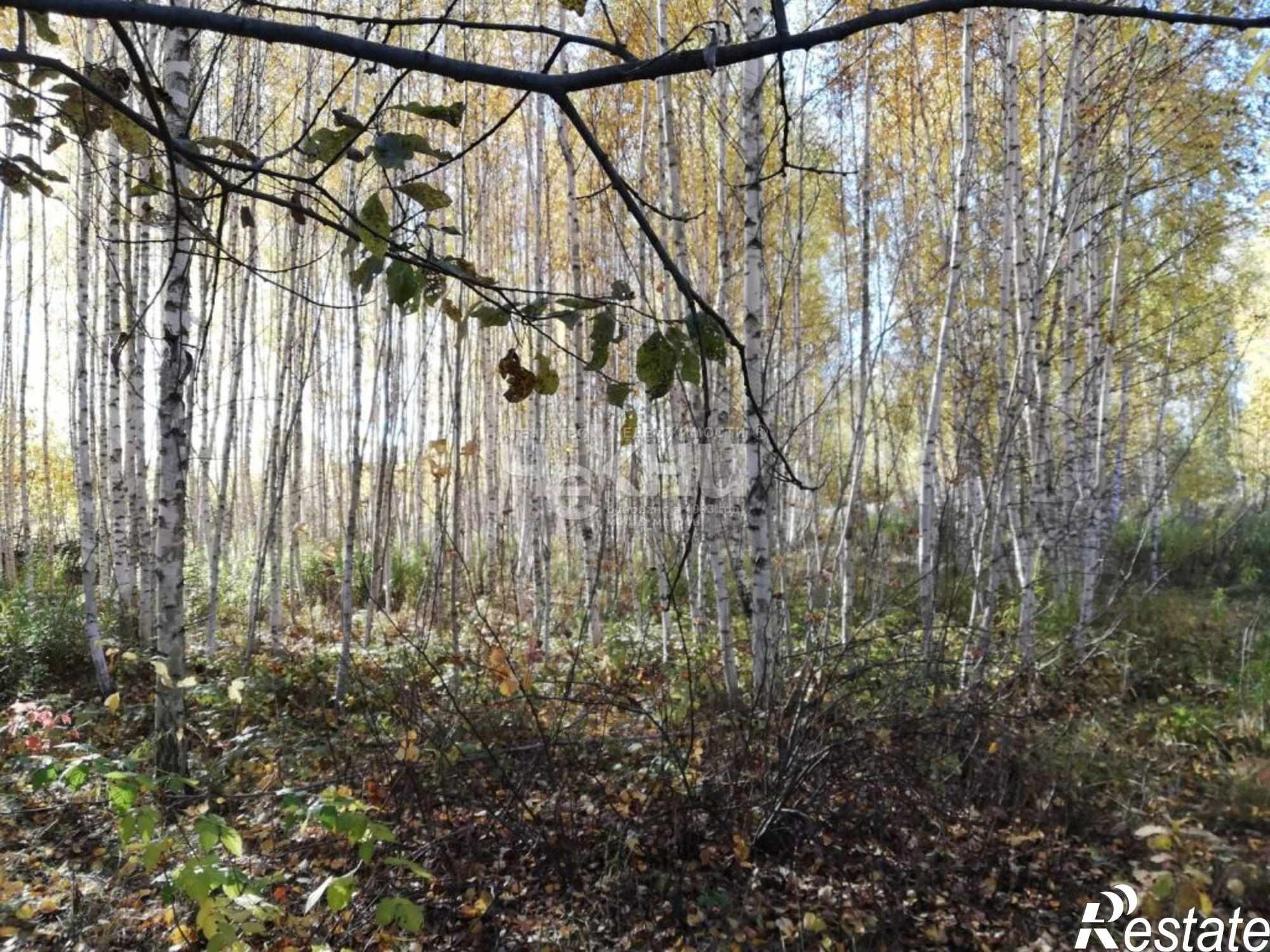 Купить землю, земельный участок за 490 000 рублей на , 1а