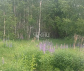 земля 13 сот , 1а